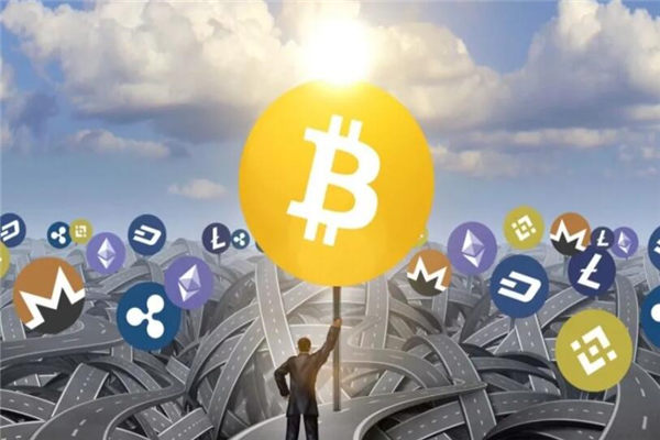 听完这个币圈从业者的故事 我发现这里的镰刀比韭菜还多